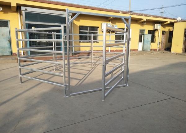 Australia Standard Steel Cattle Fence , Galvanized Horse Fence Panels With 5 / 6