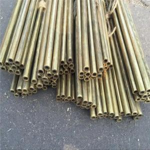 H59 H62 Thin Wall Brass Tubing Small Brass Tubing Copper T2 C27400 C27450