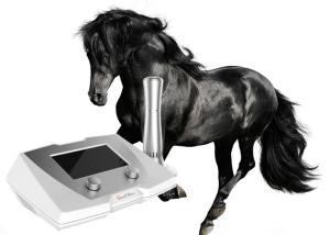 China 190 MJ High Energy Veterinary Shock Therapy Machine For Horse And Small Pets factory
