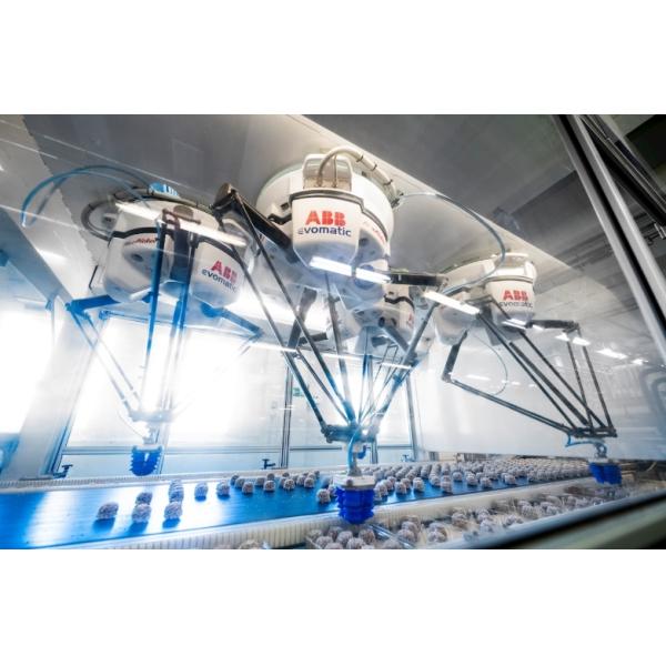 4-Axis Delta Robots Superior tracking performance 10000 Hours