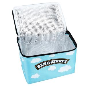 China Outdoor Fitness Lamination Insulated Picnic Cooler Bag CMYK Pringting factory