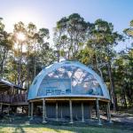 New Design outdoor luxury camping PVC living room glamping dome resort tent
