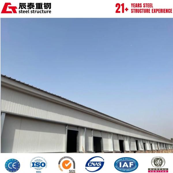 Customized design solution for prefabricated steel structure farm breeding