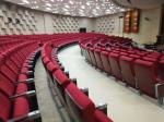 Cushion Folding Theater Seats With Strong Aluminum Feet / Audience Seating