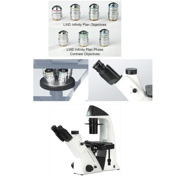 Live Cell Inverted Biological Microscope , Inverted Compound Microscope