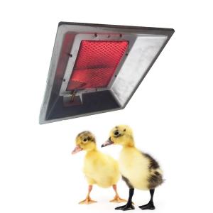 China THD2606 Poultry Brooder Heater Chicken House Infrared Catalytic Gas Brooder factory