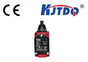 China 250vAC 15A Ip67 Industrial Limit Switches , Precision Limit Switch Micro Switch factory