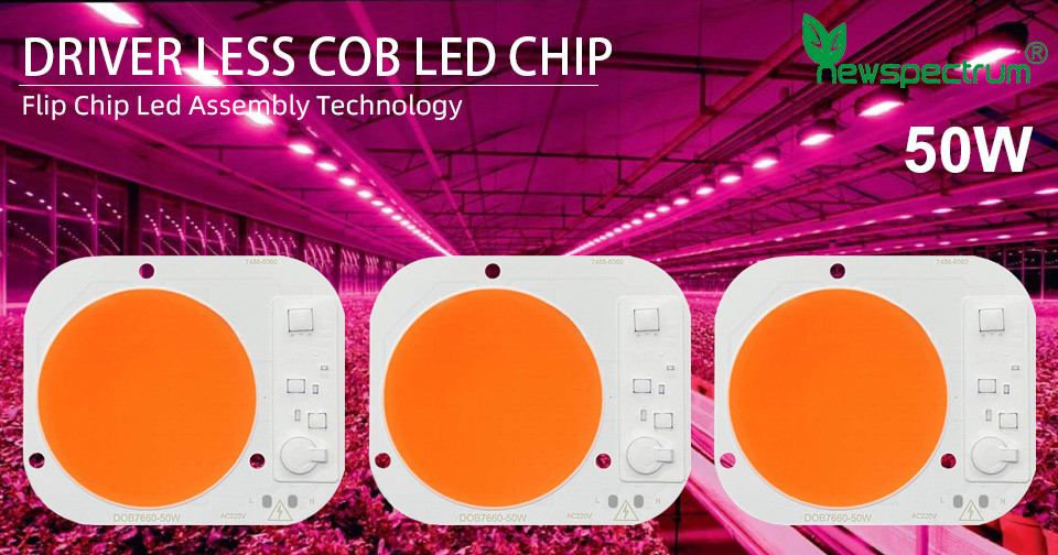 240V COB LED SMD Energy Efficient