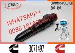 Diesel Common Rail Injector 3406604 3411821 3071497 3087648 4914328 3018835