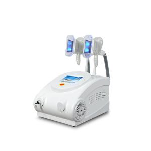 China Renlang OEM Portable Fat Freezing Machine Cryo Sculpting Machine on sale