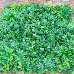 China 100cm*100cm Size Wall Fake Grass Highly Realistic Appearance factory