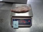 Frozen Tilapia Whole Round Size 200-300