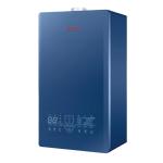 Small Body Gas Fired Condensing Gas Combi Boiler Wall Mounted 20KW