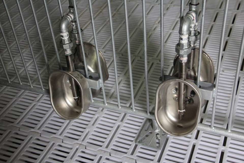 SUS304 Automatic Water Drinker Water Bowl Pig Farming Drinking Bowl