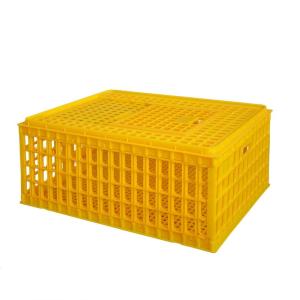 China 8-10 Chickens Poultry Carrier Crate Pp For Transportation factory