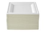 10 Inch Square Dessert Sugarcane Biodegradable Plates