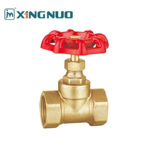 China High Quality 1/2 Inch 3/4 Inch Brass Gate Valve CE factory