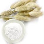 Epsom Salt 98% Magnesium Sulfate Monohydrate / Mgso4 Monohydrate CAS NO.7487-88