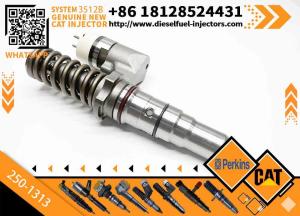 China Excavator Parts Common Rail Diesel Fuel Injector 250-1313 2501313 Injector for CAT C12 3516B 3512B Construction Machinery Parts factory