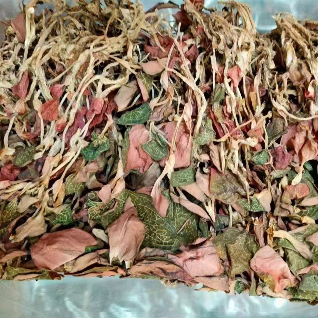 China Dried Anoectochilus Roxburghii Wall Lindl Natural Golden Thread Orchid factory