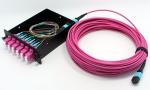 Fiber Optic MPO MTP Cable 8 Fiber OM4 LSZH Jacket for Network Connections Data