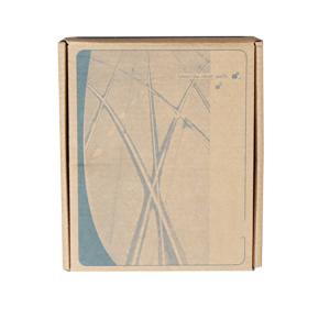 Phyhome ZTE GPON ONU F601 Zxhn F601 Modem 6.0 Version FTTH GPON ONT