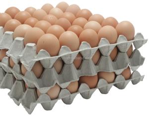 China Full Automatic Egg Box Machine , Egg Crate Manufacturing Machine 115kw factory