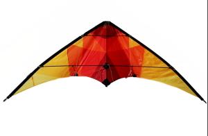 China Oem 170*70cm Dual Line Sports Delta Stunt Kite with Woven Roving Material factory