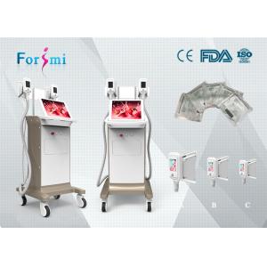 China Cryolipolysis High quality cryo body slimming fat freezing machine kryolipolyse on sale