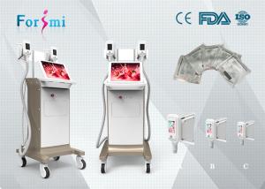 China lipodissolve cost 1800 W Cryolipolysis Slimming Machine FMC-I Fat Freezing Machine factory