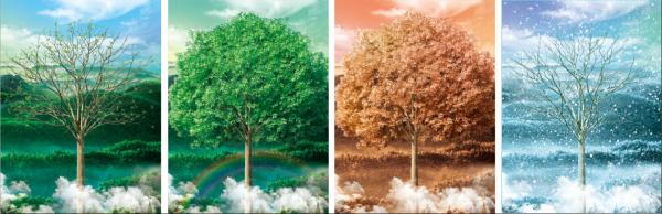 Movies Sports 3D Flip Poster Manga Wall Decor 3D Picture Changing Picture Anime
