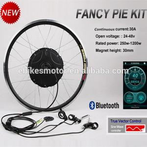 China Fancy Pie ebike conversion kit, controller built-in motor factory