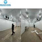 Pomegranate Cooler Storage with 3000CBM Cold Storage Cameras at Logistics
