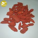 China supplier dried medlar wolfberry Dried wolfberry Himalayan fruit tea