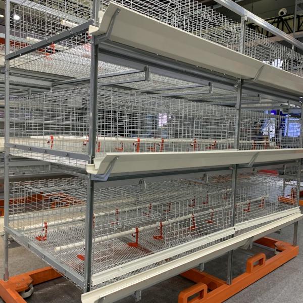 Layer Poultry Farm Equipments U Shape Frame 3 Tier Battery Chicken Cage System