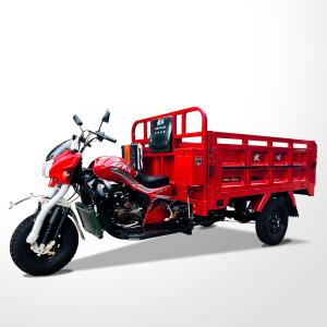 China 250cc Automatic 3 Wheel Motorcycle Chassis 50*100 Luxury Carriage Motorized Cargo Tricycle factory
