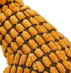Wholesale of dog voice toys, puppies, large dog teeth grinding, bite resistance