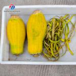 1.0KW 90KG Pineapple pineapple watermelon cantaloupe peeler small single head
