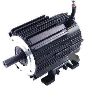 China High Power Permanent Magnet BLDC Motor 750W 3000W Foot Flange Installation (B34-90mm) factory