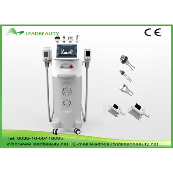 China cryolipolysis slimming machine / 5handles criolipolisis for fat reduction factory