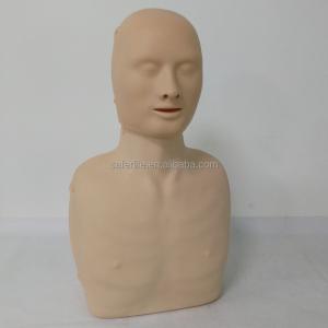 CPR training manikin cardiopulmonary resuscitation human model