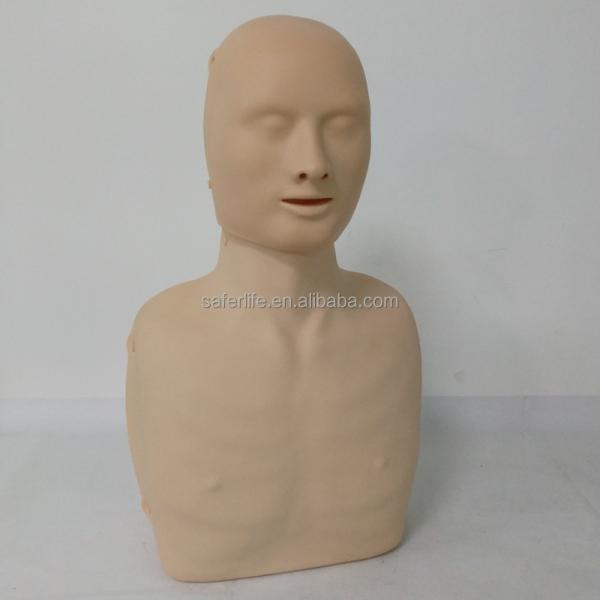 CPR training manikin cardiopulmonary resuscitation human model