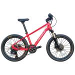 20 Inch Mountain Bike For Kids 7-10 Years Featuring Fork Suspension And Weighing