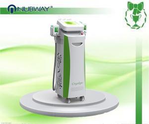 China promotion promotion year end biggest promotion effective fat removal Cryolipolysis body slimming machine factory