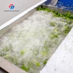 2.6KW Impurity Filter Fruit And Vegetable Washing Machine Citrus Apple