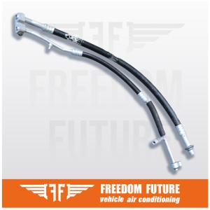 China 3W7Z19D734CA Twin AC Hoses Ford Motorcraft Lincorn 4.6L For 04-11 factory