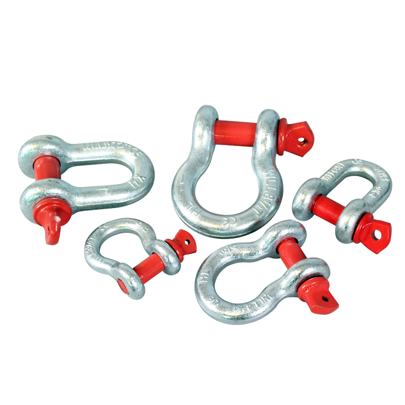ZINC Finish DIN Standard Carbon Steel/Stainless Steel D-Ring Shackle for Market Needs