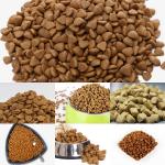 Customized Stainless Steel Small and Medium Capacity Pet Food Extruder