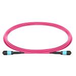 3.0mm / 3.6mm Diameter OM4 12 Cores Mpo Patch Cord