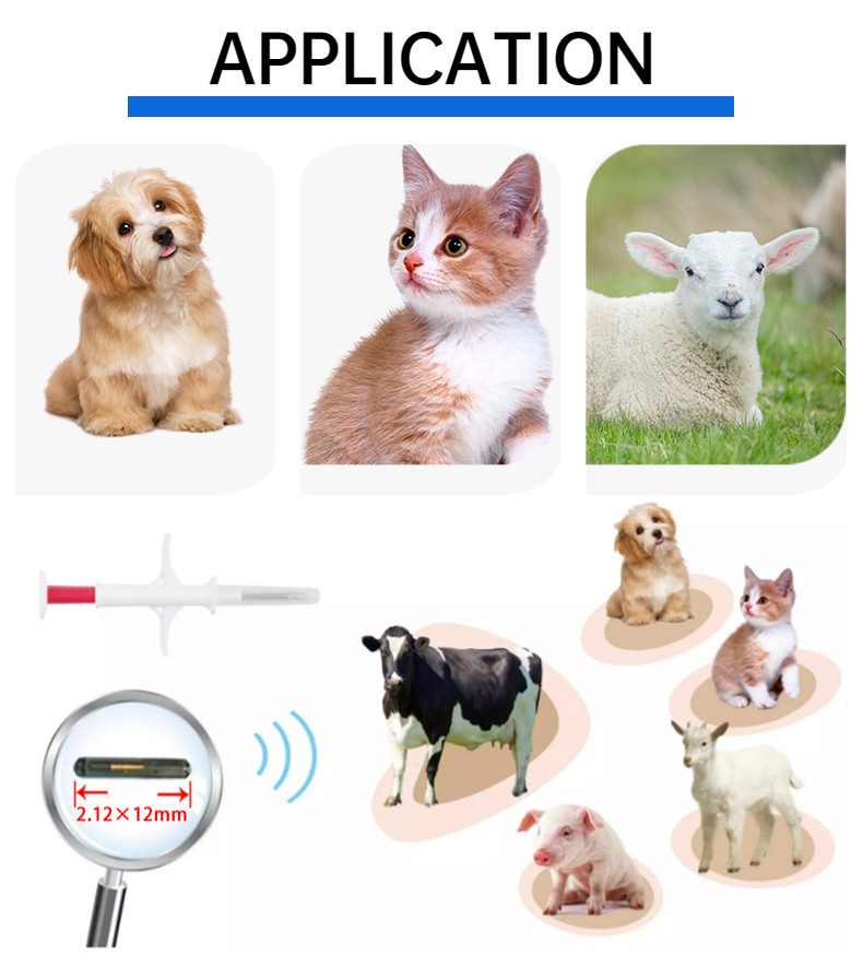 ISO Transponder Microchip 134.2KHz Pet Tracking Microchip FDX-B Animal Microchip Syringe
